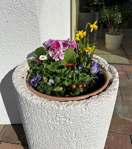 Frühling im Altenpflegeheim
