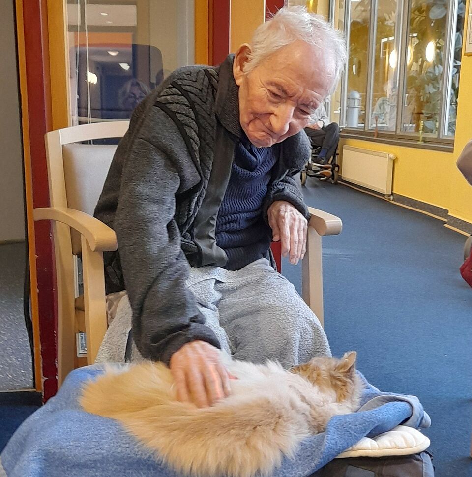 Senior streichelt rote Katze, die vor ihm auf einer Decke liegt