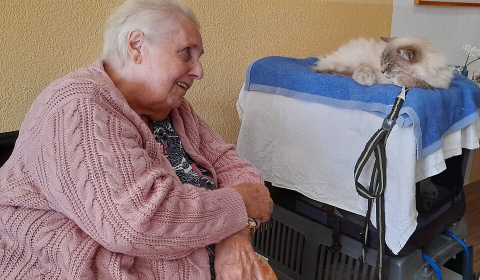 Seniorin mit Katze
