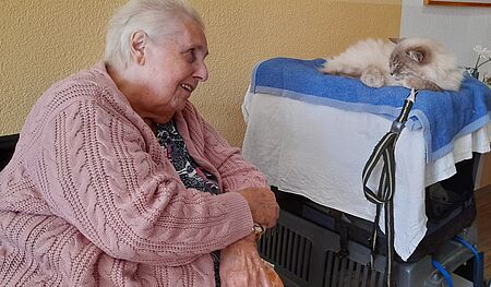Seniorin mit Katze