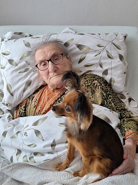 Seniorin streichelt kleinen, braunen Hund in Pflegebett