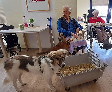 Senior mit Meerschweinchen auf dem Schoß, im Vordergrund ein brauner und ein weißer Hund, im Hintergrund Seniorin im Rollstuhl