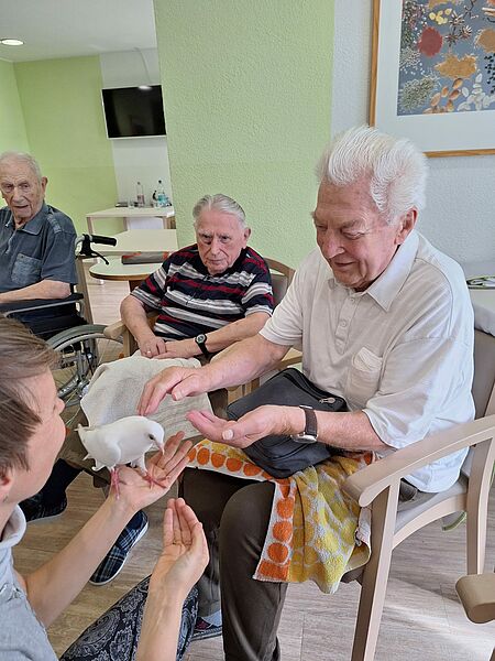 Senior streichelt weiße Taube, die ihm hingehalten wird